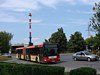 Galeria zdjec komunikacji miejskiej