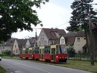 Zdj�cie miesi�ca