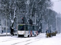Zdj�cie miesi�ca