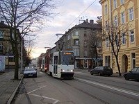 Zdj�cie miesi�ca