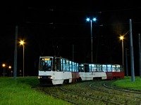 Zdj�cie miesi�ca