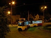 Zdj�cie miesi�ca