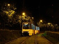 Zdj�cie miesi�ca