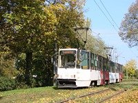 Zdj�cie miesi�ca