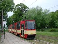 Zdj�cie miesi�ca