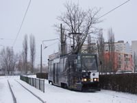 Zdj�cie miesi�ca