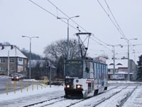 Zdj�cie miesi�ca