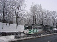 Duawag Wegmann 6EGTW #221