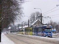 Zdj�cie miesi�ca