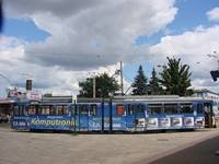 Zdj�cie miesi�ca