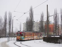 Duawag Wegmann 6EGTW #224