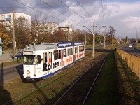 Zdj�cie miesi�ca