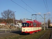 Zdj�cie miesi�ca