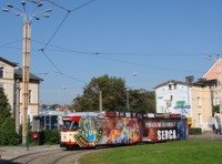 Zdj�cie miesi�ca