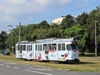 Duawag Wegmann 6ZGTW #252