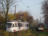 Duawag Wegmann 6ZGTW #252