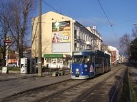 Zdj�cie miesi�ca