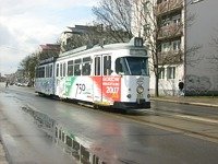 Kolizja 6ZGTW #253 z BMW