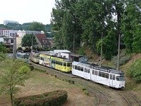 Kolizja 6ZGTW #253 z BMW