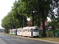 Kolizja 6ZGTW #253 z BMW