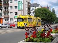 Zdj�cie miesi�ca