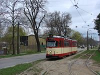 Zdj�cie miesi�ca
