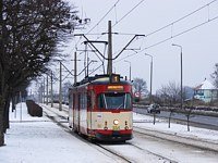 Zdj�cie miesi�ca