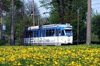 Duawag Wegmann 6ZGTW #256