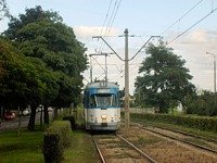 Zdj�cie miesi�ca