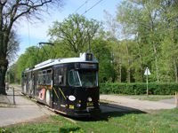 Duawag Wegmann 6ZGTW #256