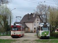 Zdj�cie miesi�ca