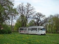 Duawag Wegmann 6ZGTW #257