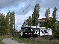 Zdj�cie miesi�ca