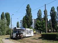 Zdj�cie miesi�ca