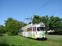 Zdj�cie miesi�ca