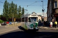 Zdj�cie miesi�ca
