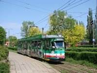 Zdj�cie miesi�ca