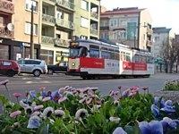 Duawag Wegmann 6EGTW #265