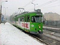 Zdj�cie miesi�ca