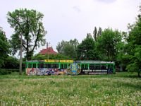 Zdj�cie miesi�ca