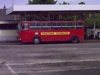 Ikarus 280 #2