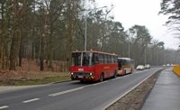 Ikarus 280 #2