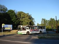 Jelcz 120M #366