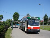 461