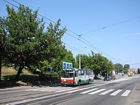 461
