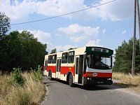 Jelcz M11 #469, MZK Gorz�w