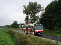 Jelcz M11 #469, MZK Gorz�w