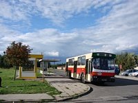 Jelcz M11 #469, MZK Gorz�w