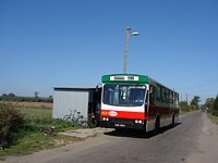 Jelcz M11 #469, MZK Gorz�w