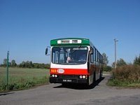 Jelcz M11 #469, MZK Gorz�w